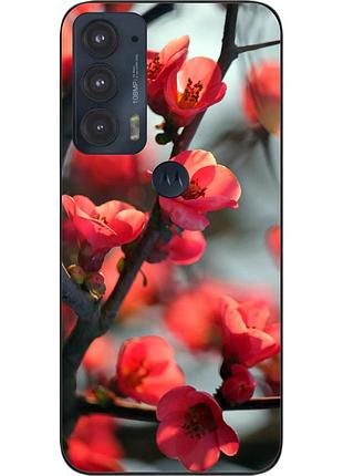 Чохол силіконовий epik для motorola edge 20 з картинкою сакура