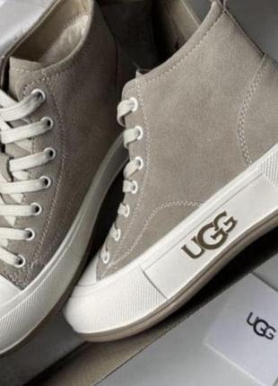 Кеды фирмы ugg оригинал скидка 🥰