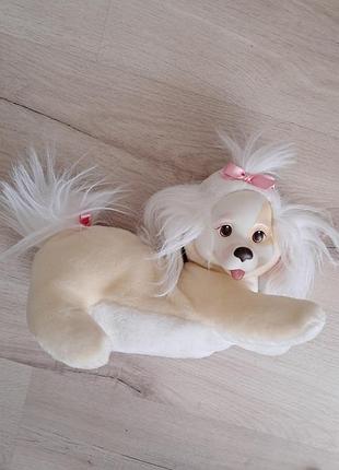 Милашка собачка