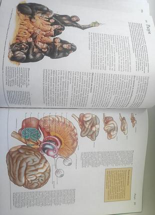 Большая энциклопедия 7