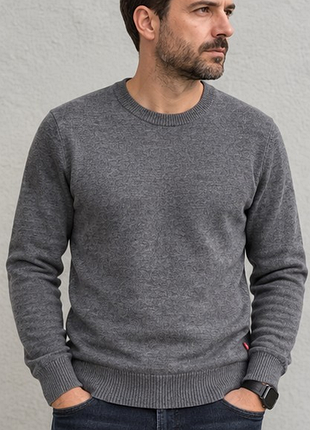 Чоловічий джемпер levi’s сірий s