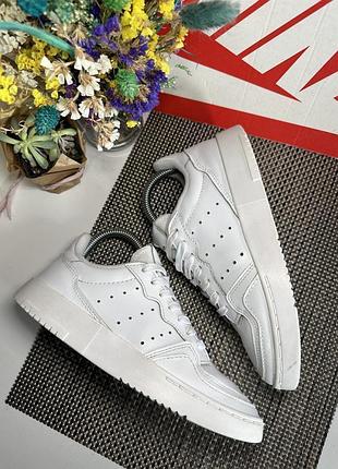 Кросівки adidas 2