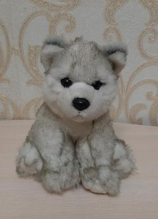 М'яка плюшева іграшка цуценя хаскі (або маламута) besttoy
