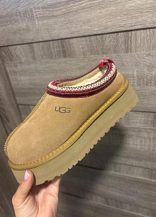 Ugg зима нові