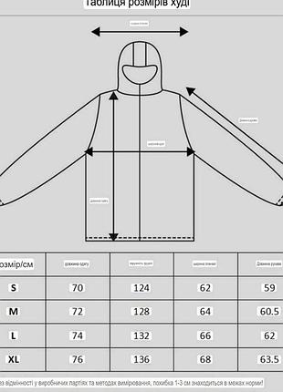 Худі amiri 10
