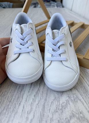 Кеди lacoste 24 розмір 3