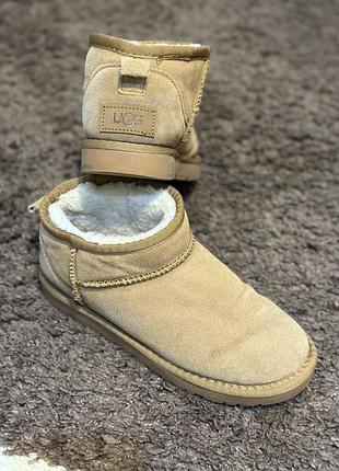 Оригінальні жіночі уггі ugg 38 розмір 24 см б/в