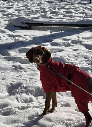 Pet fashion комбінезон зимовий для собак