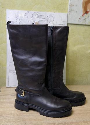 Сапоги чоботи zara