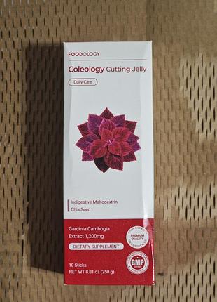 Желе-стик с коллагеном улучшающим пищеварение foodology coleology cutting jelly 10 шт