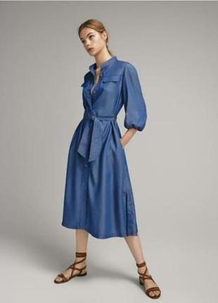 Сукня massimo dutti 2