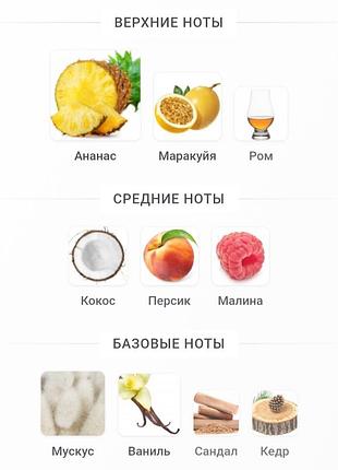 Распил парфюм 
pavlova nicolai parfumeur createur 6