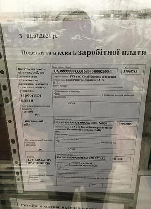 Пуховик 4