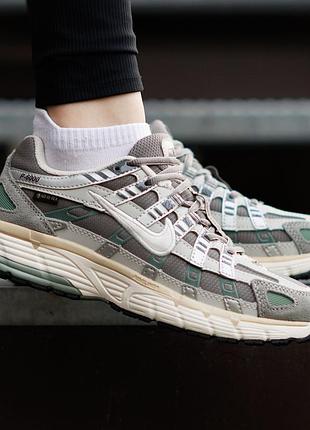 Женские кроссовки nike p-6000 gore-tex nd серые красивые из натуральной кожи на демисезон современные для девушек термо красивые найк