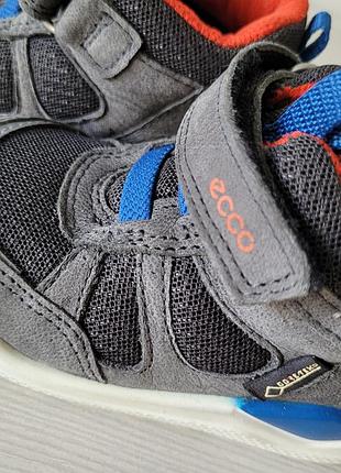 Ботинки кожаные оригинал ecco urban mini 754761 гг.21 5