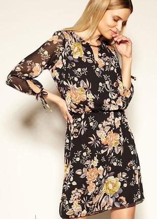 Платье шифоновое zaps issy. 3xl