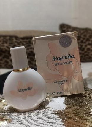 Ив роше магнолия