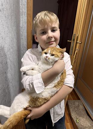 🎀 яшма красная, хрусталь- ожерелья женские, яркие, длина 120 см. 3