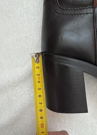 Сапоги zara 6