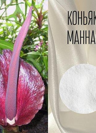 Коньяк маннан, конжак маннан (глюкоманнан) китай - 500г