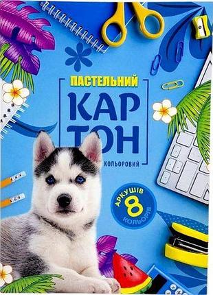 Набір картону кольорового одностороннього пастельний 210х297 мм, 8 аркушів. в папці