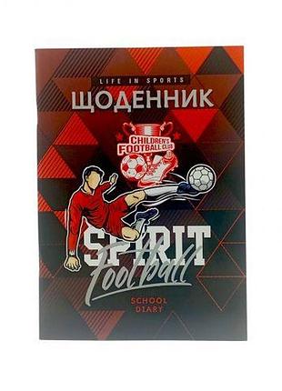 Дневник, футболист. 143х200 мм, 40 л.