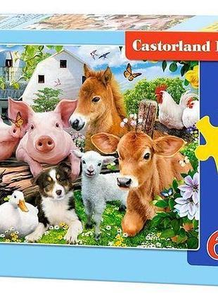 Пазлы castorland друзья на ферме 60 эл (b-066209)