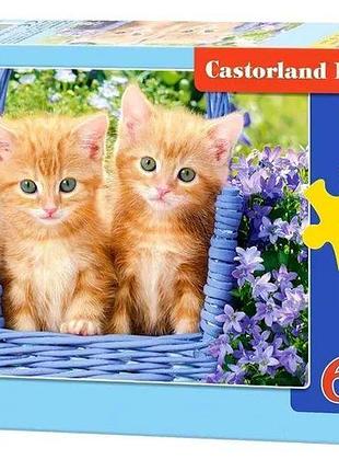 Пазли castorland жваві кошенята 60 ел (b-066247)