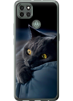 Чехол на motorola g9 power дымчатый кот "825u-2229-851"