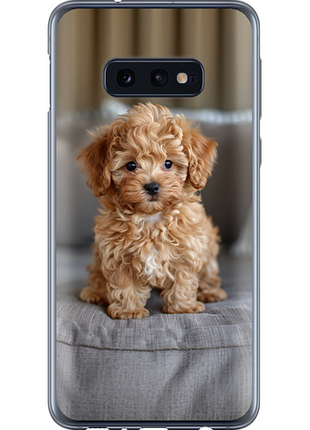Чохол на samsung galaxy s10e mini-maltipoo "6158u-1646-851"