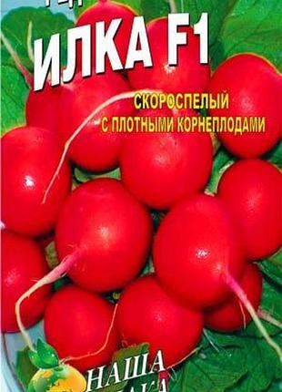 Редис ілка пакет 800 насіння. среднеранний сорт.