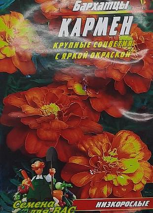 Бархатцы кармен низкорослые 2 гр. семян