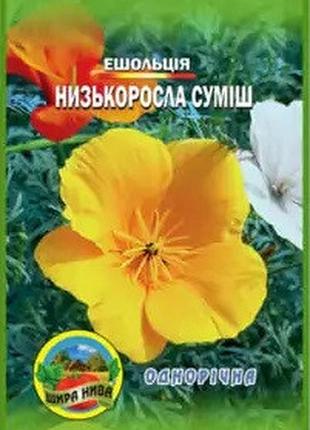 Ешшольція низькоросла.