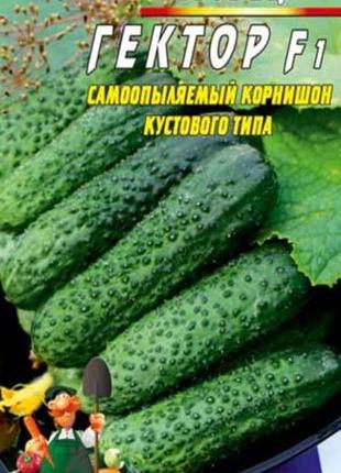 Огурец гектор f1 30 семян. ультраранний гибрид.
