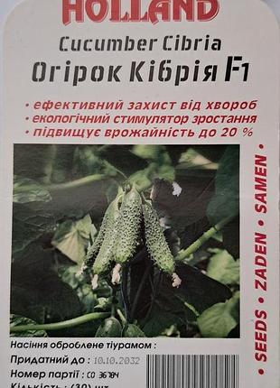 Огурец кибрия f1 ( драж ) 30 семян. ранний гибрид.