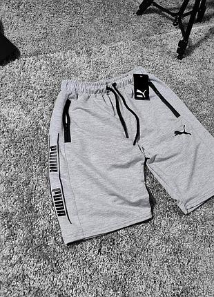 Мужские шорты puma серые (лампас "puma") xxl