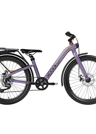 Велосипед детский royalbaby 24" xcool rider, official ua, purple