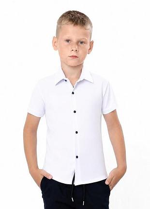Рубашка для мальчика с коротким рукавом, поплин, 95% котон, 5,6,7,8,9 6