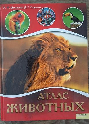 Книга "атлас животных", твёрдая обложка
