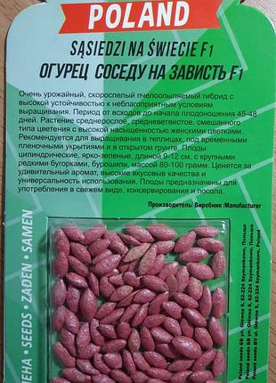 Огурец соседу на зависть f1 драж 45-50 семян. среднеспелый пчелоопыляемый сорт.