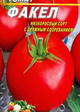 Томат факел 100 шт. семян. среднеранний сорт.