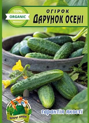 Огурец подарок осени 30 семян. среднеранний урожайный сорт.