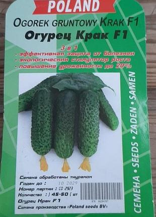 Огурец крак (драже) 40 семян. среднеранний гибрид.