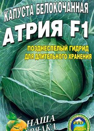 Капуста атрію пакет 5 грамів насіння