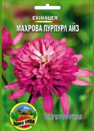 Ехінацея махрова пурпл айз. багаторічна махрова.
