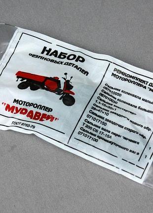 Набор сальников мотоцикла муравей (6 шт.)