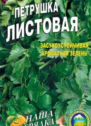 Петрушка листова 3000 насіння