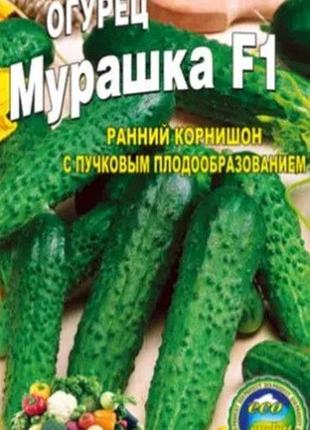 Огірок мурашка f1 пакет 30 насіння. швидкостиглий гібрид.