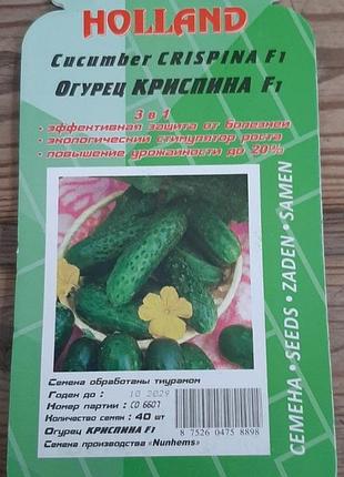 Огірок кріспина (драже) 40 насіння. ранній самоопилюваний гібрид.