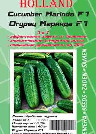 Огурец маринда (драже) 40 семян